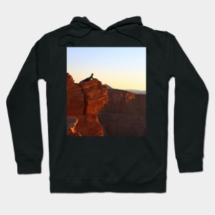 Arizona, Antelope Canyon Hoodie